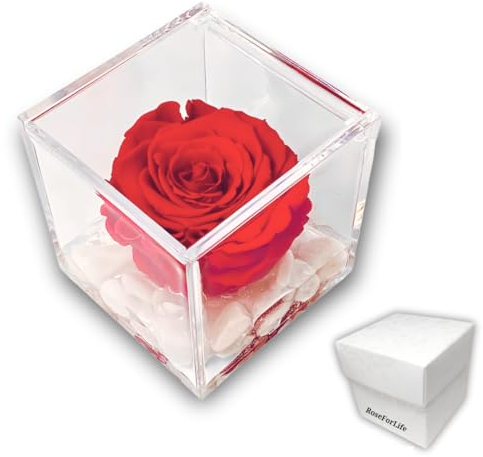 PREMIUM ROSE - Cubo Rosa Stabilizzata Rossa Profumata 8cm con Marmo di Carrara - Rosa Eterna Stabilizzata Rossa Idea per San Valentino, Natale Made in Italy - Rosso 1080