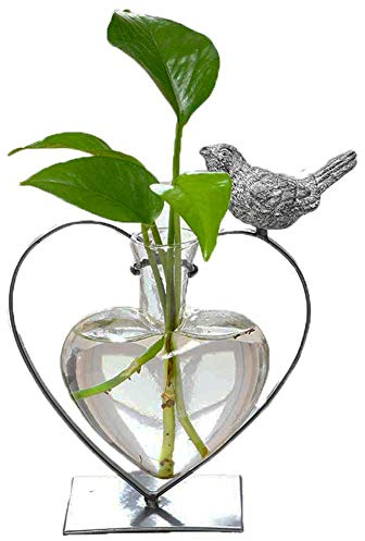 Marbrasse Vase Hydroponique De JardinièRe en Verre de Bureau avec Support pour la Décoration de la Maison, Support de Terrarium de Plante d'Oiseau en Forme de Coeur Créatif Moderne