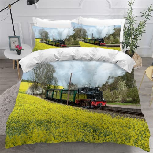 SK-YBB Bettwäsche Set 135x200 Retro-Zug Bettwäsche für Kinder Junge 3 Teilig 3D Eisenbahnzug Kinderbettwäsche 135x200 Mit Reißverschluss mit 1 Bettbezug 2 Kissenbezügen