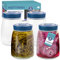 HEFTMAN Fermenting Jar with 1 Way Air Release Vent - 1.4 litres, 4 Pack - Ideal for Safe Fermentation for Kefir, Kimchi, Sauerkraut, Sourdough Starter, Overnight Oats - Fermentation Jars x 4 (Blue)