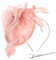 Alaoo Fascinator Hüte für Damen, Damen Fascinators Hut, Pillbox Hut mit Schleier Stirnband für Hochzeit Tea Party Mesh Blume Cocktail Party (Farbe: 03-Hellrosa)