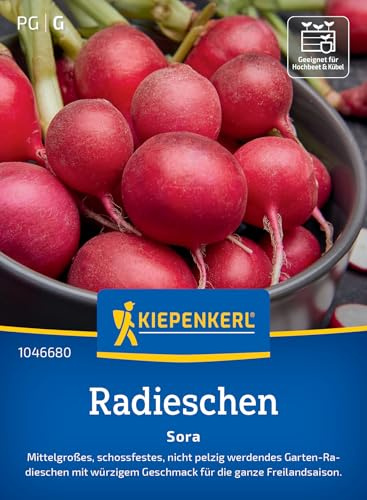 Kiepenkerl Radieschensamen Sora 1046680, Gemüsesaat | Würziger Geschmack, für Beet & Topf, schnell wachsende Gemüsesamen, nicht pelzig, schossfest