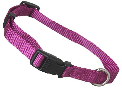 Scarlet pet | Hundehalsband »Universal« mit Klickverschluss und Längenverstellung; Diverse Farben und Größen; Robustes Nylon (XS: 21-32 x 1 cm/Lila)