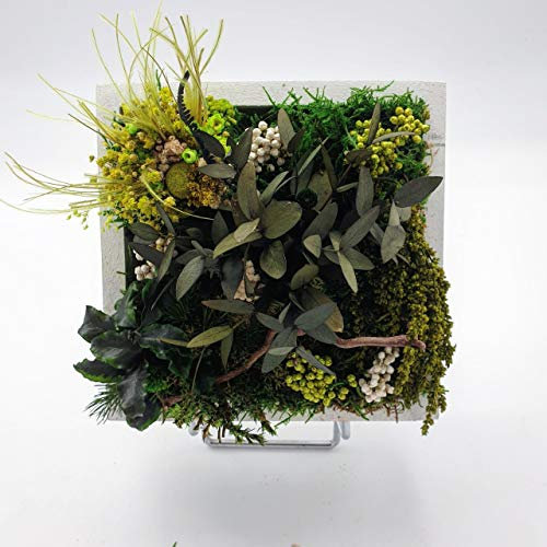 Tableau Végétal Stabilisé 15x15 cm green
