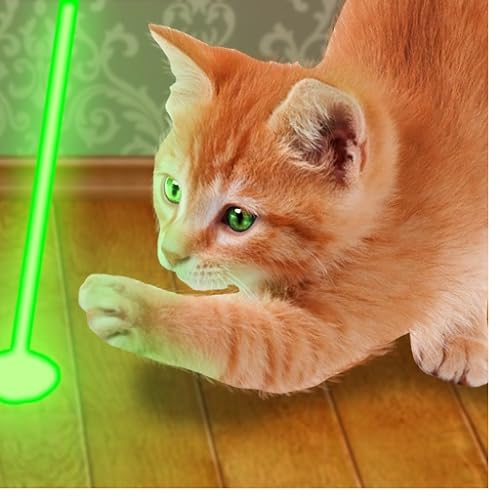 Lasers Pointer for Cat