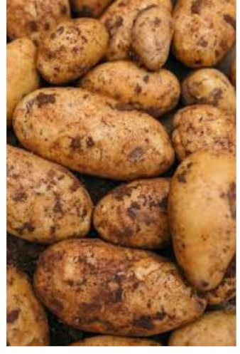 Fresh Cyprus Potatoes I 1KG