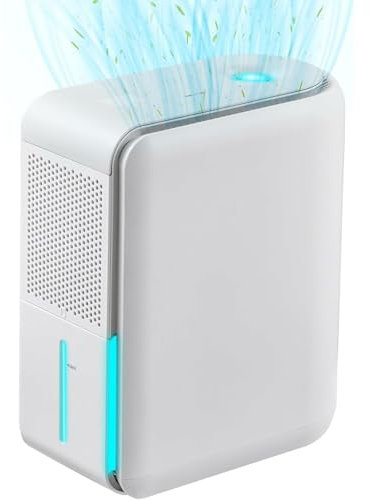 3 In 1 Humidifier Dehumidifier Combo, 0.1L/h Multi-functional Humidifier with 1L Water Tank, Air Filtration, 4 Modes, Drain Hose, Temperature Display, Humidifiers Dehumidifier for Home Bedroom