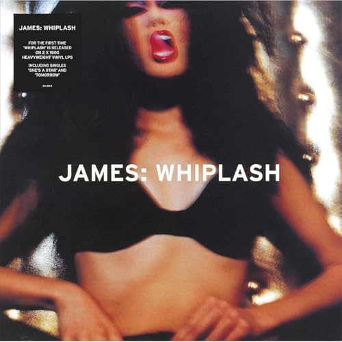 Universal (Universal International Music B.V.)