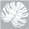 Schablone Big Monstera Blatt 30 x 30 cm Motivschablone