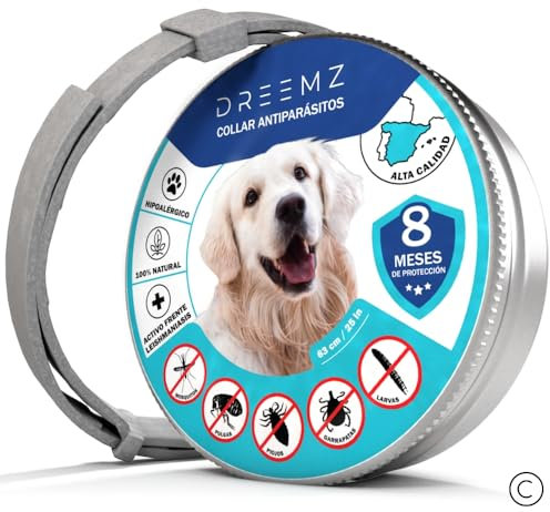DREEMZ Collar Repelente de Insectos - Antipulgas Perros, garrapatas y Mosquitos, 8 Meses protección-63cm -100% Vegetal-Impermeable - Formatos (1 Und Gris)