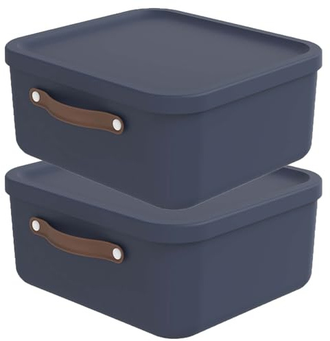 Rotho Maloja Aufbewahrungsbox mit Deckel 20 L im 2er-Set stapelbar Blau | Aufbewahrungsboxen, sicher verschließbar, mit Trageriemen, modular kombinierbar, leicht zu reinigen, aus Kunststoff