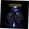 GREENADSCAPE Botella Terrario De Led para Paisajismo Contenedor De para Decoración con Iluminación Blanca para y