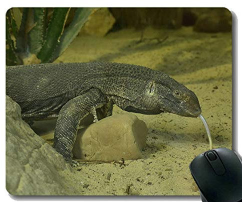 YENDOSTEEN Mauspads und Dinosaur Fossil Monitor Maus-Pads