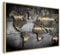 B&D XXL - Leinwand Bilder mit Rahmen 120x80 cm Wandbilder Leinwandbild Groß XXL natürlicher Holzrahmen Wandbild Wand Bild Wanddekoration Kunstdruck Wohnzimmer Weltkarte Abstrakte Landkarte Schwarz