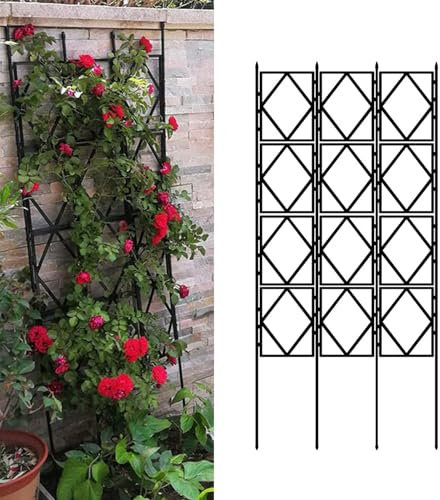 DMCHENGMA Metall-Garten-Spalier, Rankgitter, Rankgitter, Schmiedeeisen, für den Außenbereich, Randbegrenzung, Dekoration, Stützständer – Schwarz(60CMx180CM(2FTx6FT))