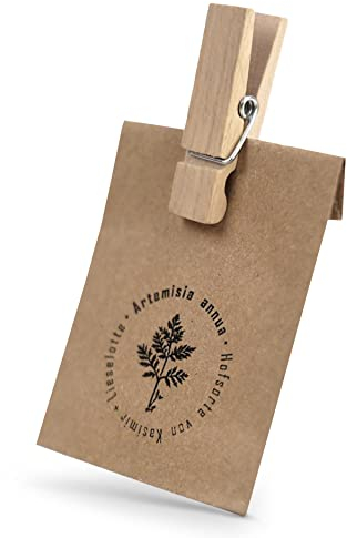 Kasimir und Lieselotte - Einjähriger Beifuß Samen - 1000 Stück aus Eigenanbau - Hofsorte