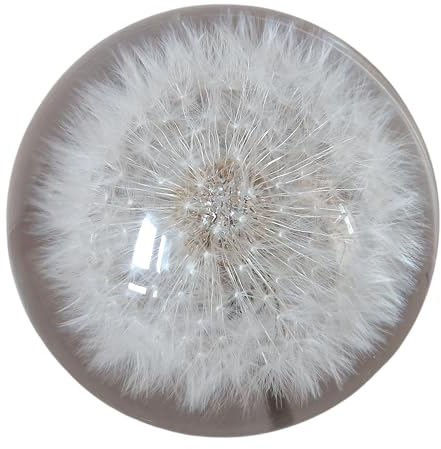 Generisch 7 cm Deko Figur Glas Pusteblume Löwenzahn Briefbeschwerer Handarbeit Glaskugel