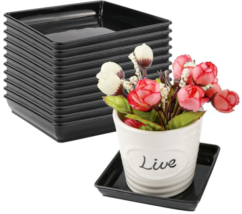 LNQ LUNIQI Untersetzer Blumentopf Eckig, 12 Stück Kunststoff Pflanzen Untersetzer Schwarz Pflanze Untertassen Blumenuntersetzer Pflanzkübel Unterteller für Indoor Outdoor Garten Balkon