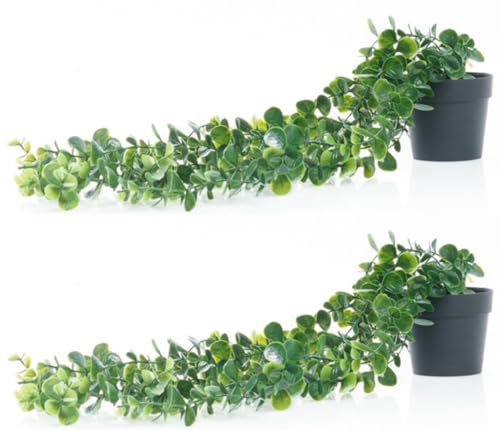 Valyria Home - 2 Pcs Planta Artificial Colgante con Maceta 63cm - Decoración del Hogar - Planta Colgante de Plastico con Maceta - Diseño Realista para Boda Jardín Balcón Dormitorio
