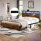 DICTAC Bett 120x200 mit LED Beleuchtung, Bettrahmen mit Steckdose und USB-Ladefunktion, Metallbett 120x200 mit Holzkopfteil Stauraum, Bettgestell mit Lattenrost und Stauraum unter dem Bett
