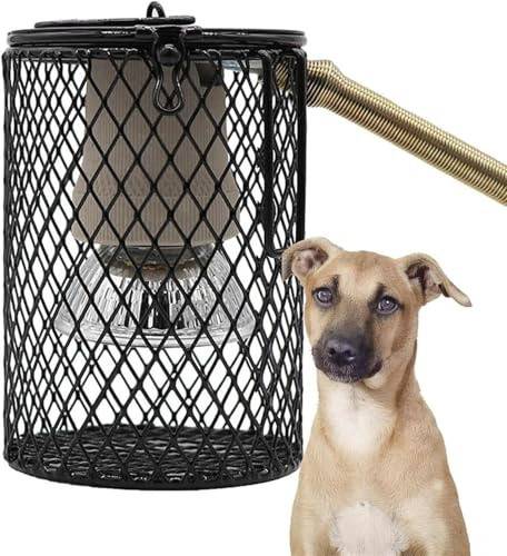 Lampada riscaldante per canile esterno, riscaldatore per uccelli in gabbia, riscaldatore sospeso per cuccia di cane con timer e uncino anti-mordere, ideale per gabbie per cani, gabbie e pollai.(75W)