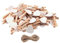 50 Stück Herz Holz Wäscheklammern Holz Wäscheklammern Foto Clips Holz Handwerk Clips Bild Kleiderbügel Display Clips mit Schnur für Hochzeit Baby Shower
