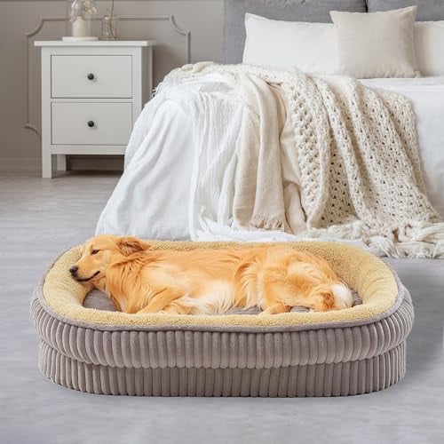 Lit orthopédique pour chiens de taille moyenne, canapés pour chiens en mousse haute densité, lit pour animaux avec coussin sur les quatre côtés, housse amovible et lavable et fond antidérapant