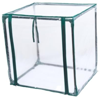 Mini serra portatile con copertura antigelo e robusto telaio tubolare in ferro