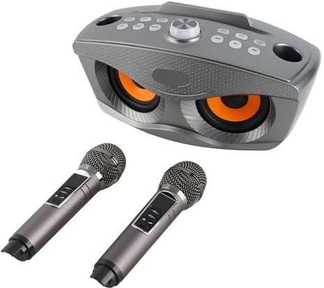 FILFEEL Familien-Karaoke 4.2-Außenlautsprecher, Dual-Handmikrofon, Stereo mit Sprachunterbrechung (Silber Schwarz)
