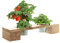 Pflanztreppen und Kräuterregale inklusive verzinkten Plfanzgefäßen - Blumenkästen Pflanzeimer Pflanzregale Blumenregale Pflanzgefäße Blumenpaletten Größe Kräuterregal 60 cm