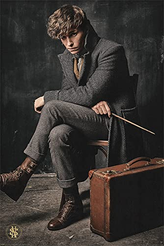 empireposter Fantastic Beasts - Poster - 2 - Newt Scamander