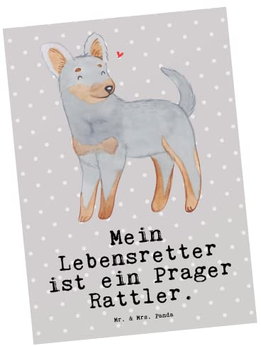 Mr. & Mrs. Panda Postkarte Prager Rattler Lebensretter - Geschenk, Rassehund, Hundebesitzer, Tierfreund, Dankeskarte, Einladungskarte, Einladung
