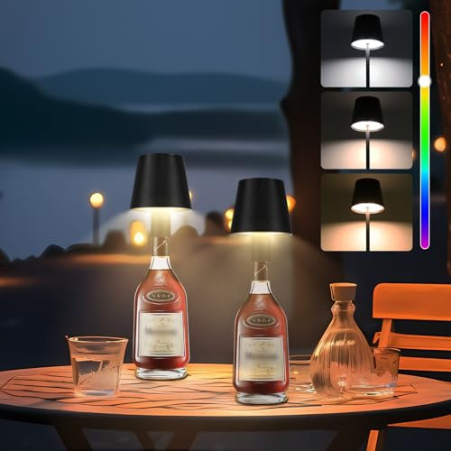 CHENBEN Flaschenlampe,7.5W LED Flaschenlicht mit 5200 mAh Akku RGB Dimmbare Tragbare KabelloseTouch Tischleuchte, IP54 Aufladbar Tischlampe für Innen/Außen, Familie, Restaurant, Bar(2-Sätze)
