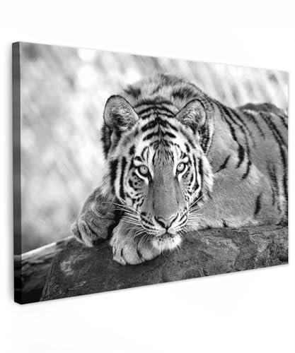 MuchoWow© Impression sur Toile Decoration Murale Peinture 120x80 cm Tableau Art Décoratif Muraux Décoration Chambre Lion - Félins - Noir et blanc - Animaux