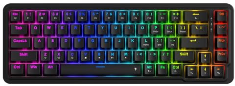 Redragon K709 Clavier de jeu RVB à Joint filaire 65%, Clavier mécanique Compact à 68 Touches remplaçables à Chaud Avec Prise Free-Mod, atténuation du Bruit à 3 couches et Touches fléchées dédiées,