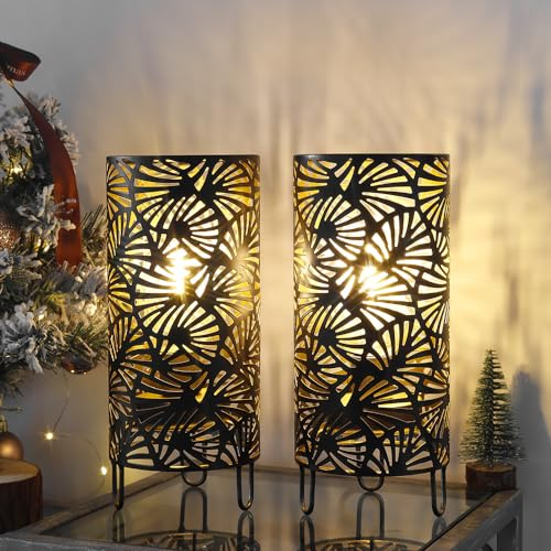 JHY Design Lot de 2 lampes en metal alimentees par piles 23,5 cm de haut Sans fil Avec ampoule LED Grand ventilateur Pour mariages, fetes, terrasses, jardins, interieurs, exterieurs, chambres acoucher