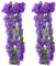 LOREC 2 Stück Kunstblumen Hängend Lila 70CM Kunstblumen Veilchen Efeu Künstlich Künstliche Blumen Hängend Glyzinien Hängeblumen Künstlich Hängende Blumen für Garten Hochzeiten zu Hause