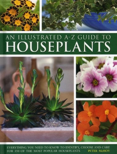 An Illustrated A-Z Guide to Houseplants: Everything You Need to Know to Identify, Choose and Care for 350 of the Most Popular Houseplants
