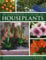 An Illustrated A-Z Guide to Houseplants: Everything You Need to Know to Identify, Choose and Care for 350 of the Most Popular Houseplants
