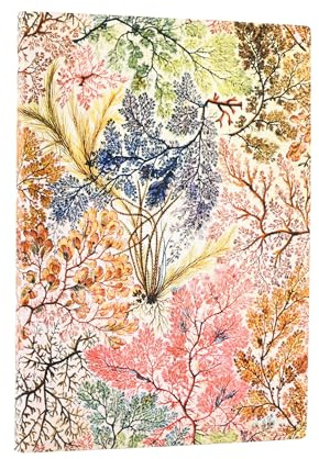 Anemone (William Kilburn) Midi Unlined Softcover Flexi Journal (Elastic Band Closure) (William Morris)
