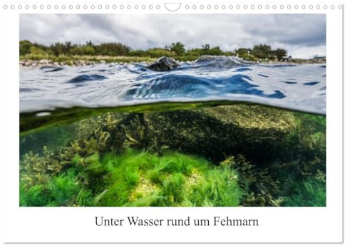 Unter Wasser rund um Fehmarn (Wandkalender 2025 DIN A3 quer), CALVENDO Monatskalender