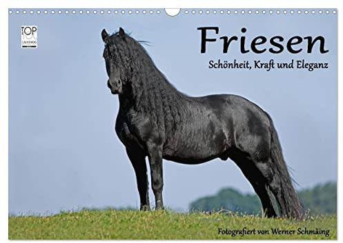 Friesen - Schönheit, Kraft und Eleganz (Wandkalender 2025 DIN A3 quer), CALVENDO Monatskalender: Friesenpferde - die edle Pferderasse (CALVENDO Tiere)