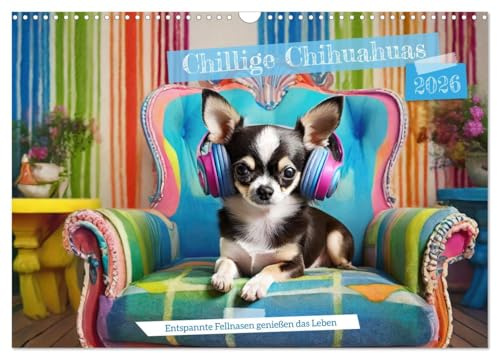 Chillige Chihuahuas - Entspannte Fellnasen genießen das Leben (Wandkalender 2026 DIN A3 quer), CALVENDO Monatskalender: Entspannung und Balance mit Chihuahuas (CALVENDO Tiere)