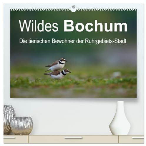 Wildes Bochum (hochwertiger Premium Wandkalender 2026 DIN A2 quer), Kunstdruck in Hochglanz: Alle Fotos der Tiere sind in Bochum aufgenommen worden. (CALVENDO Orte)
