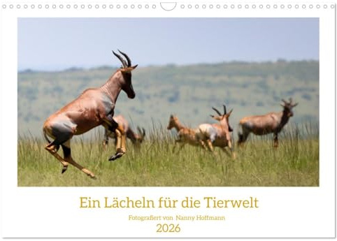 Ein Lächeln für die Tierwelt (Wandkalender 2026 DIN A3 quer), CALVENDO Monatskalender: Portraits von Tieren in ihrem Lebensraum (CALVENDO Tiere)