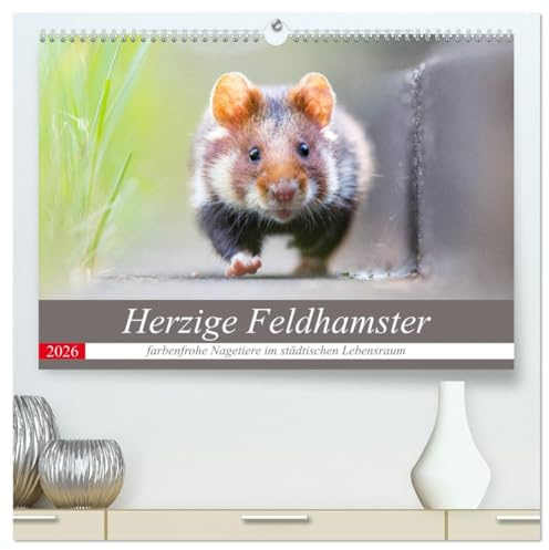 Herzige Feldhamster - farbenfrohe Nagetiere im städtischen Lebensraum (hochwertiger Premium Wandkalender 2026 DIN A2 quer), Kunstdruck in Hochglanz: Wilde Feldhamster im Portrait. (CALVENDO Tiere)