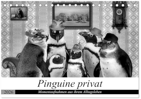 Pinguine privat (Tischkalender 2026 DIN A5 quer), CALVENDO Monatskalender: Momentaufnahmen aus ihrem Alltag (CALVENDO Spass)