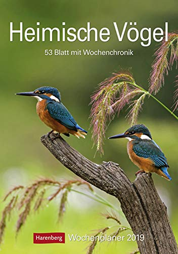 Heimische Vögel Wochenplaner 2024. Wochenkalendarium, Infos zu den porträtierten Vogelarten und viel Platz für Termine in dem praktischen Wand-Kalender 2024 zum Eintragen: 53 Blatt mit Wochenchronik