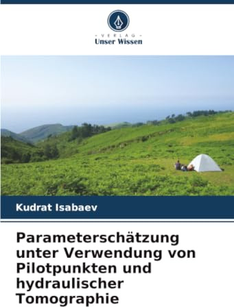 Parameterschätzung unter Verwendung von Pilotpunkten und hydraulischer Tomographie: DE