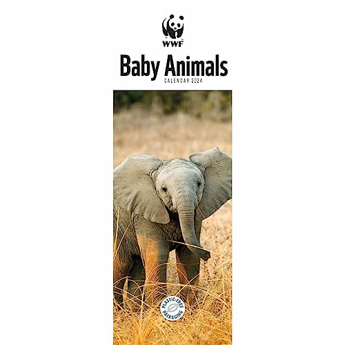 WWF Baby Animals – Tierjunge – Tierbabys 2024: Original Carousel Kalender – Slimline [Mehrsprachig] [Kalender] (Slimline-Kalender)